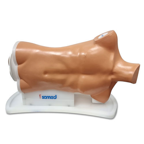 Simulador para colonoscopia - LS90 - Samed - para treinamento / para gastroenterologia / de parte superior do corpo
