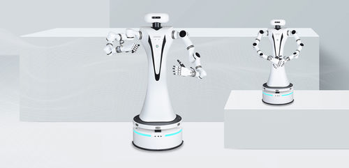Braço robótico massageador - RMC-DA - RealMan Intelligent Technology - para o setor médico / de laboratório