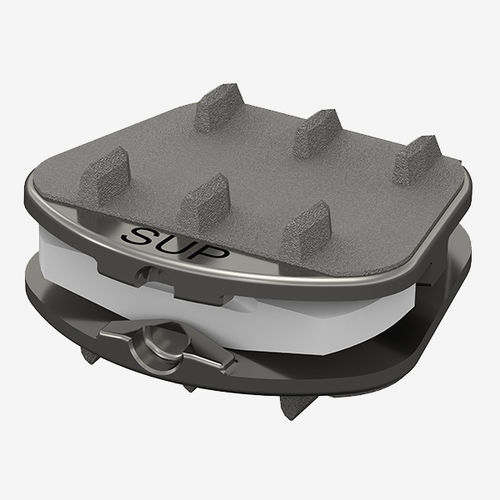 Prótese de disco cervical - Synergy Spine Solutions