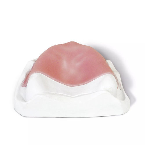 Material dentário em resina composta - base LC - Dentona AG - para restauração dentária / fotopolimerizável