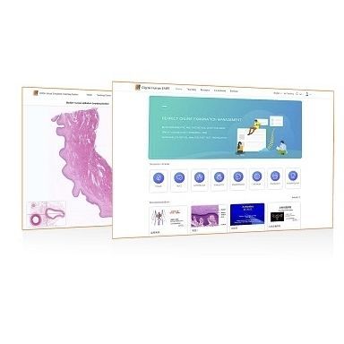 Software didático - Shandong Digihuman Technology CO., Inc. - de navegação / de anatomia / para laboratório de histopatologia