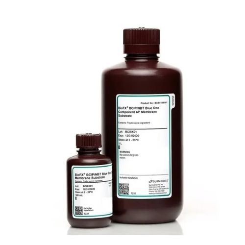 Reagente com enzimas - BCIB-0100-01 - Surmodics IVD, Inc. - para western blot