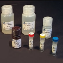 Kit de teste de colesterol - LS-K304 - LifeSpan BioSciences - para pesquisa / para farmacologia / de NAD