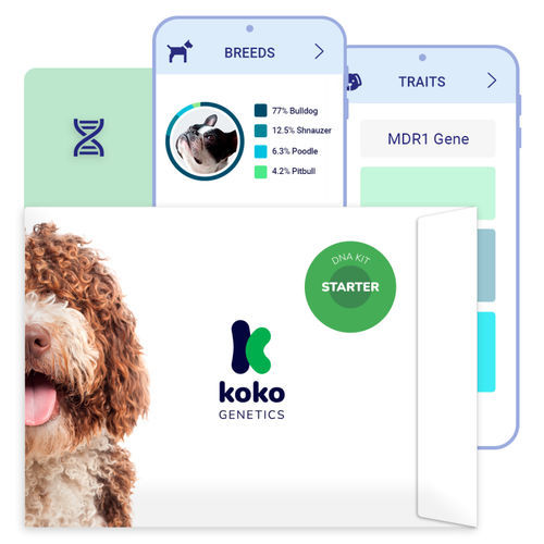 Kit de teste de DNA genômico - GENELINK S.L. - veterinário / para cães / de genes