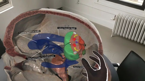 Plataforma de realidade virtual imersiva - AnatomyX® - MEDIVIS - médico-hospitalar / para a formação médica