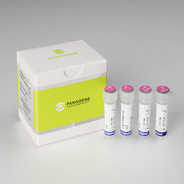 Kit de teste para câncer - PNAClamp™ - HLB PANAGENE Co., Ltd. - para oncologia / de tecidos / para PCR em tempo real