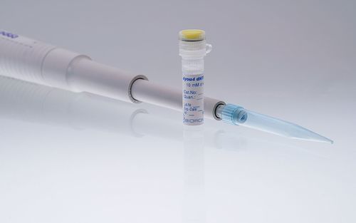Reagente em solução - 4you4 - BIORON GmbH - solução de dNTP / solução de desoxinucleotídeos / para PCR