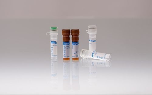 Reagente com enzimas - 128705 - BIORON GmbH - em solução / DNA polimerase / solução de dNTP
