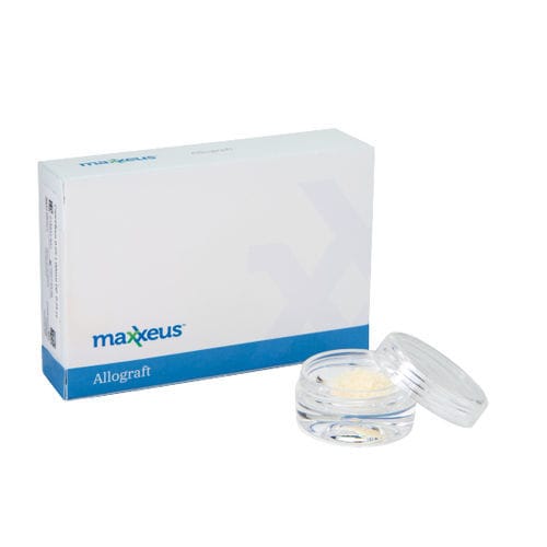 Aloenxerto ósseo - DM005 - Maxxeus - para cirurgia ortopédica / em grânulos