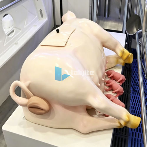 Simulador para a manutenção - Nanjing Laiyite Electronic Technology Co., Ltd - veterinário