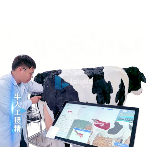 Simulador para RCP - Nanjing Laiyite Electronic Technology Co., Ltd - para treinamento / para a manutenção / cirúrgico