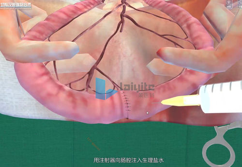 Software de simulação - Nanjing Laiyite Electronic Technology Co., Ltd - para treinamento / de avaliação / veterinário