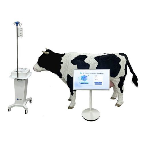 Simulador veterinário - Nanjing Laiyite Electronic Technology Co., Ltd - para injeções / de coleta de sangue / para treinamento