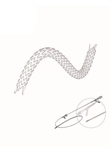 Stent ureteral - EUS series - Hunan Endovascular Device Co., Ltd. - em poliuretano / em nitinol / de revestimento