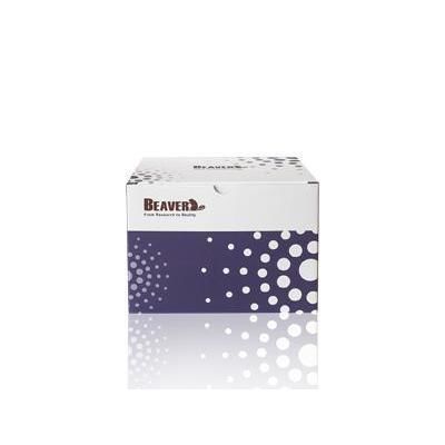 Kit de reagentes de esferas magnéticas - KD-HMM-0016 - Alta DiagnoTech - para extração de DNA / de DNA genômico