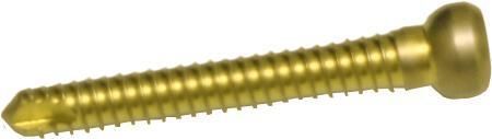 Parafuso intramedular para fêmur - 120 series - hb ortho - para tíbia / para trocânter / para fêmur