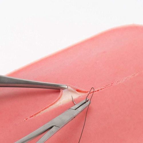 Simulador para treinamento - BDS - Japan Polymer Technology Corporation - de sutura / para cuidados gerais de saúde / em kit