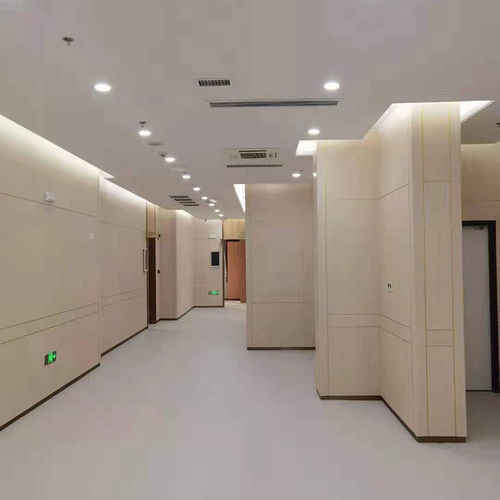 Painel para hospital - Changzhou Zhongtian Fire-proof Decorative Sheets Co., Ltd. - sala limpa / corta-fogo