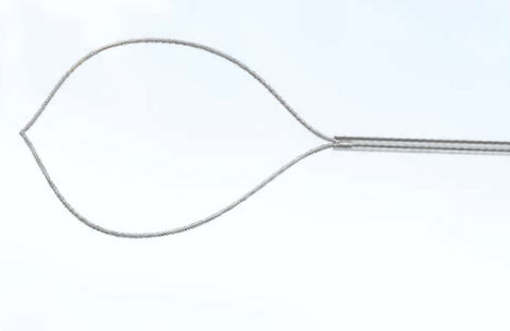 Cesta extratora polipectomia - AXTEL SNARE™ - Focuz Medical - reta