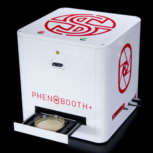 Contador de colônias automático - PhenoBooth+ - singer instruments - automático / de bancada / por imagem
