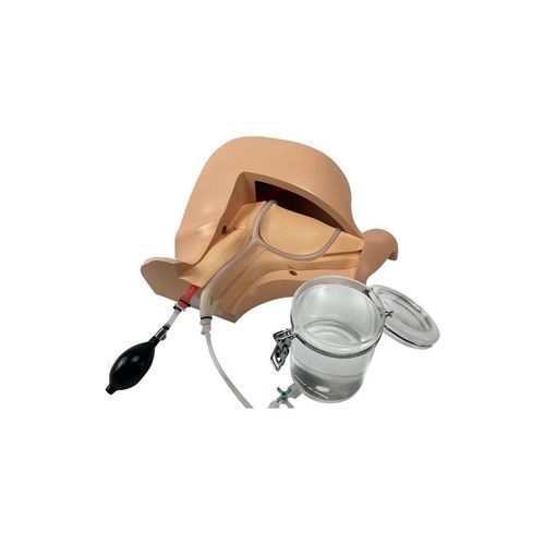 Simulador de anatomia - CVC-B01 - SurgMate - para cuidados gerais de saúde / de palpação / de punção