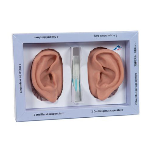 Modelo de orelha - N15  - 3B Scientific   - de acupuntura
