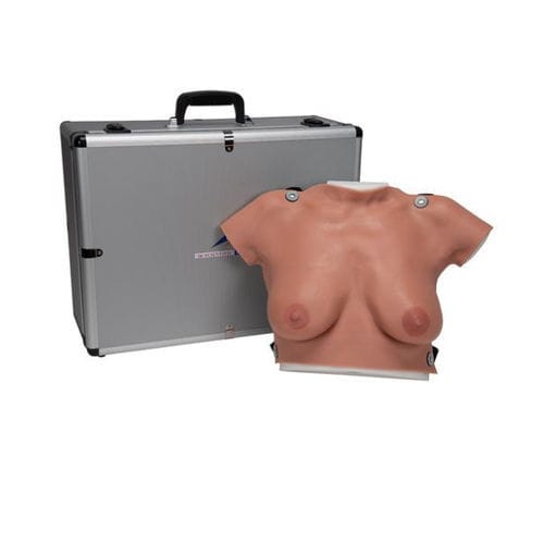 Modelo anatômico de mama - L50  - 3B Scientific   - de palpação mamária / feminino