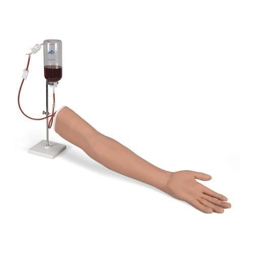 Simulador para injeções intravenosas - P50/1 - 3B Scientific   - para enfermagem / de braço