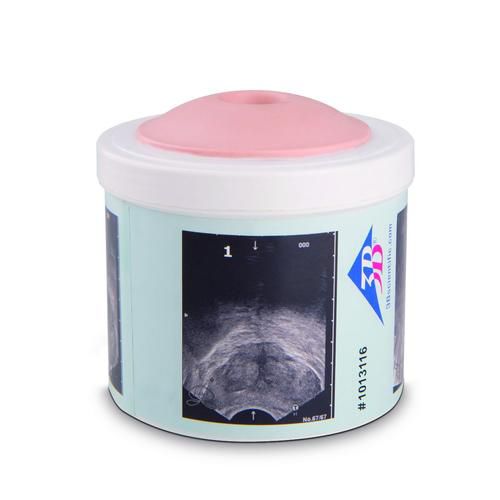 Simulador de palpação da próstata - P58/1  - 3B Scientific   - para treinamento / para cuidados clínicos / pad
