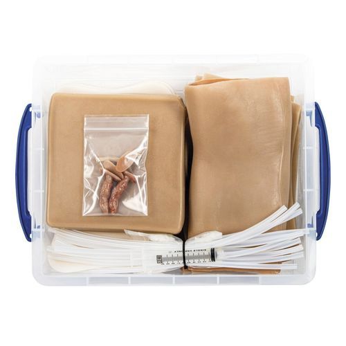 Simulador de anestesia - 1025975 - 3B Scientific   - para treinamento / de sutura / para cuidados gerais de saúde