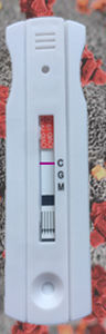 Kit de teste de COVID-19 - Instant-view® - Alfa Scientific Designs - de IgG / de imunoglobulinas M / de SARS-COV-2