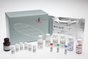 Kit de teste de sepse - FMHBP100IUO - Axis-Shield PLC  - para doenças infecciosas / de apoptose / de proteínas ligantes de heparina