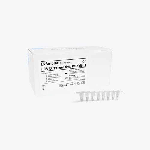 Kit de teste de COVID-19 - Boditech Med Inc. - para doenças infecciosas / de SARS-COV-2 / nasofaríngeo