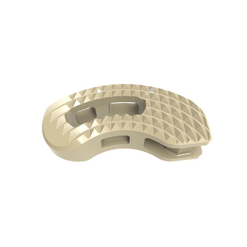 Espaçador intervertebral lombar - BANANA - Waston medical - via transforaminal