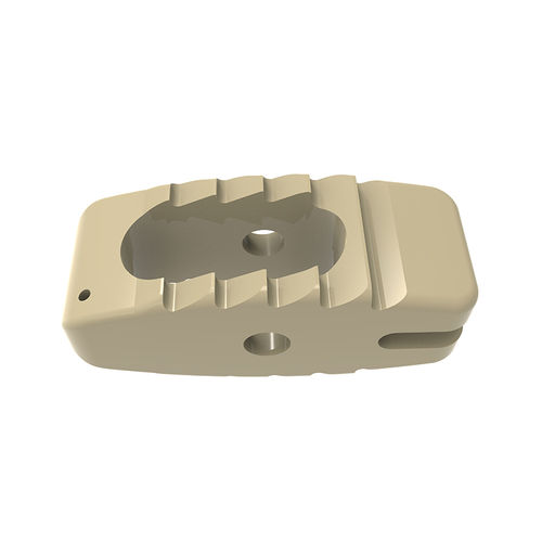 Espaçador intervertebral lombar - BULLET - Waston medical - via posterior