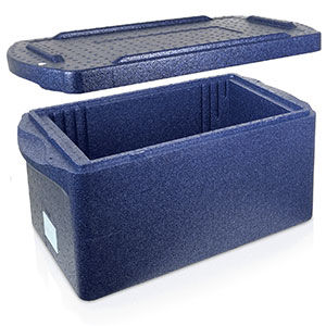 Caixa para amostras de transporte -  B 1000 20 - delta T - Gesellschaft für Medizintechnik - biológica / em polipropileno / isolante