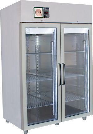 Freezer de laboratório - DS-BB14GP - Desmon Scientific - para farmácia / vertical / com 2 portas