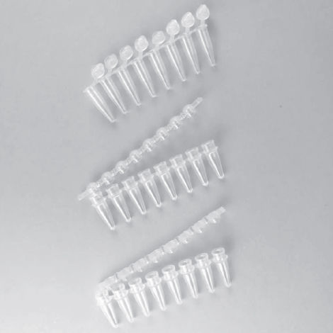 Tubo de ensaio para laboratório - AP0802FFC series - Elisabeth Pharmacon spol  - para PCR / cônico / em polipropileno