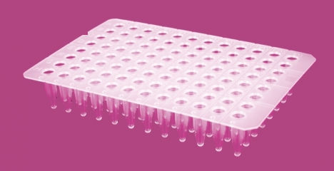 Microplaca para PCR - AP9602CNS series - Elisabeth Pharmacon spol  - com 96 poços