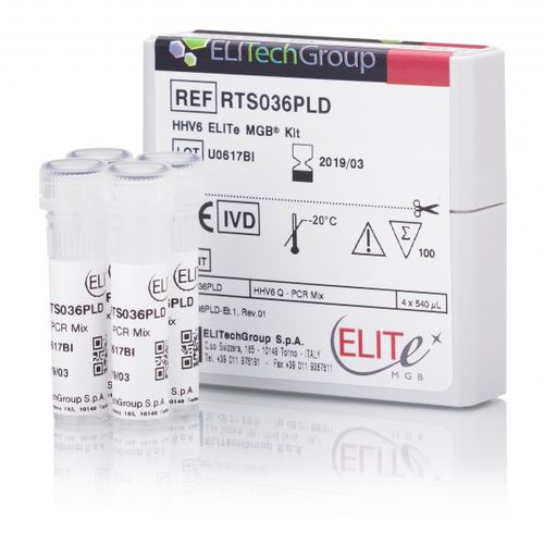 Kit de teste de herpes - RTS036PLD - ELITech Group  - de herpes vírus humano tipo 6 / de plasma / de sangue total