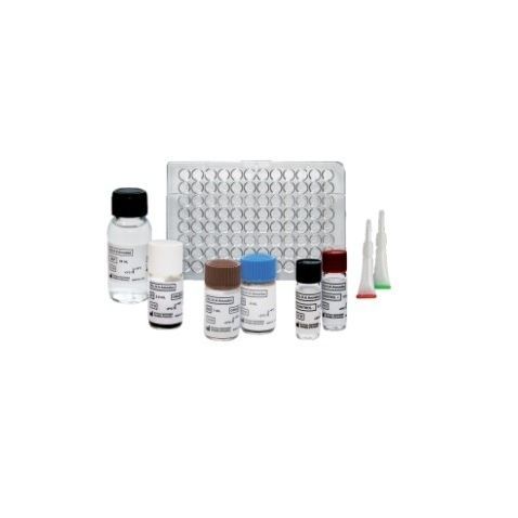 Kit de teste Distomose - ELI.H.A Distoma - ELITech Group  - de serologia / de Fasciola hepatica / de soro