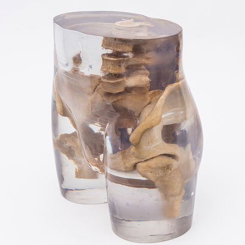 Fantoma para radiografia - 7240 - Erler-Zimmer - de pelve