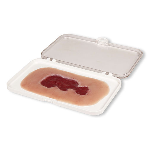 Simulador de tratamento de feridas - PW002B - Erler-Zimmer - para enfermagem / pad