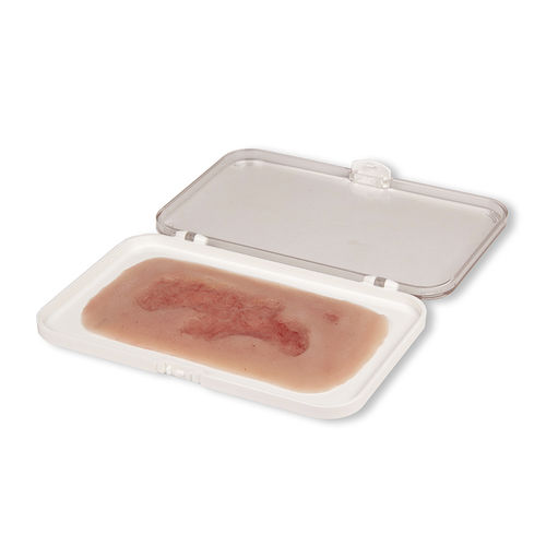 Simulador de tratamento de feridas - PW004C - Erler-Zimmer - para enfermagem / pad
