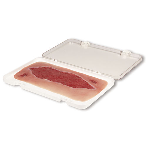 Simulador de tratamento de feridas - PW005B - Erler-Zimmer - para enfermagem / pad