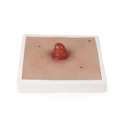 Simulador de tratamento de feridas - PW020 - Erler-Zimmer - para cuidados de ostomia / pad / em material plástico