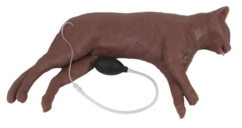 Manequim de treinamento veterinário - VET4880 - Erler-Zimmer - para RCP / de felino / de peito