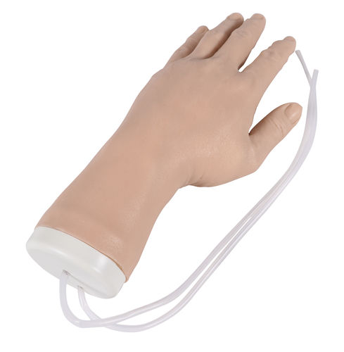 Simulador para injeções intravenosas - 8035 - Erler-Zimmer - para cuidados gerais de saúde / de mão