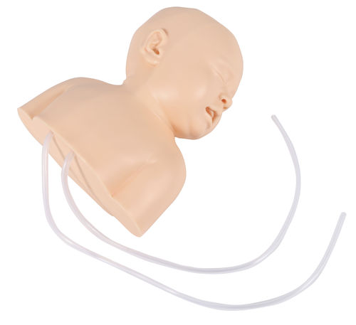 Simulador de punção - 8040 - Erler-Zimmer - para injeções / para cuidados gerais de saúde / neonatal