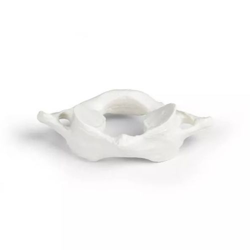 Modelo anatômico de vértebras - 3062 - Erler-Zimmer - de adulto / masculino / branco